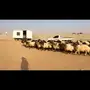 للبيع صنف نعيم فواخر دفيع ومولده