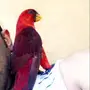 ببغاء لوري كاردينال للبيع