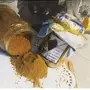 بهارات مشكله 