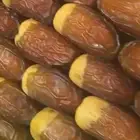 صقعي سوبر جامبو مطوق