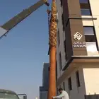 يوجد لدينا نخل واشنطني زينه امريكي بكل المقاسات وبسعار مناسب