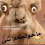 سلفرادو hd غماره من 2008 لي عشره 