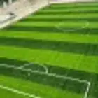 الرياض