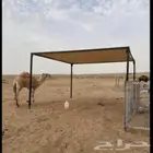 مضلات ابل ..مظلات غنم..درف حوض ماء