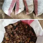 مطلوب تمر للحلال 1000 كيس