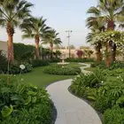 توريد وزراعه  وتنسيق الحدائق  نخيل  أشجار زينه ومثمر  زهور