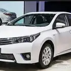 مطلوب سياره