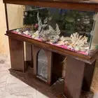 حوض سمك كبير الطول والعرض تقريبا متر وشوي