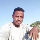 خبير حمام فرز الذكر والأنثى بالحجل وتنظيم وترتيب الإنتاج