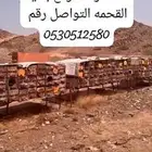 للبيع نحل بلدي العدد 35