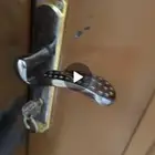 شقه للاجار في حي الشرفية المعذر
