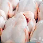 دجاج مبرد