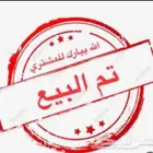 خروف فحل شرط سديس إنتاجه طيب