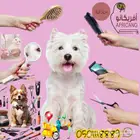 عروض الصيف لدينا لهواة القطط الاليفة موجودة بغابة افريقيا