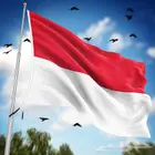 فيزا سياحية إندونيسيا تأشيرة إندونيسيا بدون طلبات