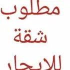 مطلوب شقة للايجار