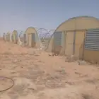 سلام عليكم مطلوب بيوت محميه البيع مستخدم اي كميه في جميع أنح