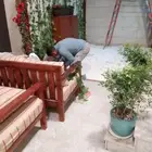 تنسيق حدائق وجلسات وزراعة لاحواض