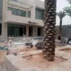 لشغل النخل توريد وتركيب