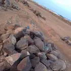 معلم بنيان بلحجر أحواش بيوت أحواش مزارع أحواش غنم وابل