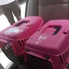 مندوب توصيل