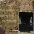 جميع أشغال أنخل