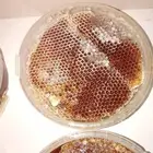 قرصان سمره طبيعي نحل بلدي وشي يجمل