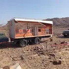 نحل بلدي للبيع
