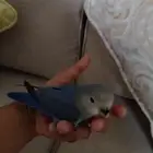 روز روز صحه ما شاء الله عدد خارجي وداخلي ويجيك على طول لكنهل