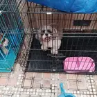 مندوب توصيل داخل وخارج ارياض