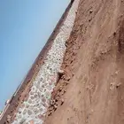 معلم بنيان بلحجر قوايم ممرات ربراب ضفيره عقوم