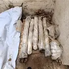 كنترول امامي و خلفي وبساتم عرجاء