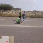 تركيب عيون القطط من كل انواع عيون القطط