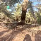 توريد وتركيب وتنضيف