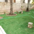 تنسيق حدائق