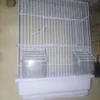 اقفاص عصافير