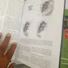 طباعة كتاب هارد كفر بروفايل