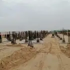 ببكات للايجار
