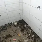 مبلط  ا ستان الطا ف   اور