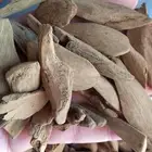مروكي طبيعي