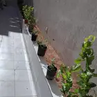صيانه زراعه حدائق