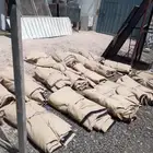 مضلات ابل وشبوك