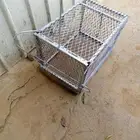 مصيدت قطاط ثعلب