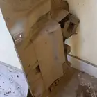 صاجة برادو الليع