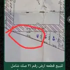 فرشه نجيل وعربيه
