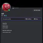 يوزر دسكورد ثلاثي معنى دحه