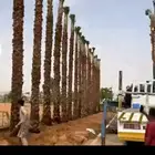 توريد وتركيب جميع انواع الشبوك والنخيل