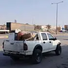 ايسوزو ديمكس 2006