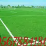 عشب صناعي 