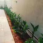 تنسيق حدائق